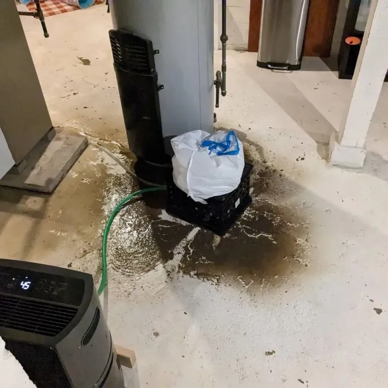 Sewage Backup Cleanup Service in Tierra Buena, CA